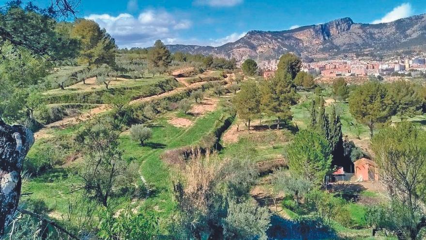 Las lluvias caídas estos días reverdecen el paisaje.