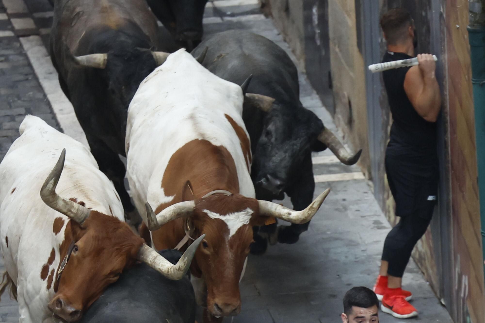 El octavo encierro de los Sanfermines 2025.
