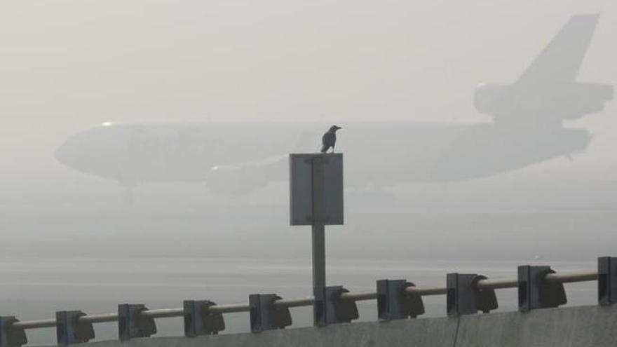 La niebla obliga a regresar a Ibiza un avión que debía aterrizar en Palma