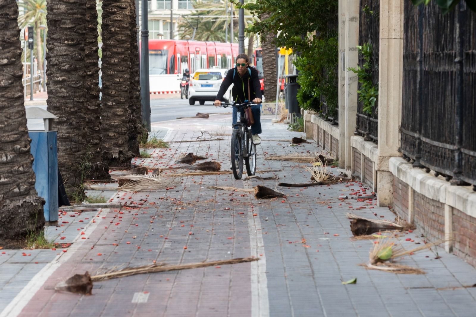 Temporal de viento en València