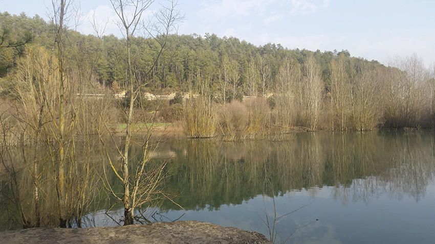 Olius. Foto feta al municipi d’Olius, a l’indret del Molí del Pont, on es veu la cua de l’embassament de Sant Ponç (Solsonès) amb els suaus reflexos dels arbres a l’aigua.