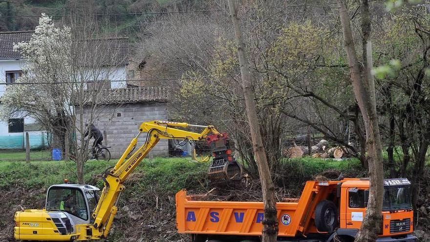 Retirada de árboles en las cercanías de Puente d&#039;Arcu.