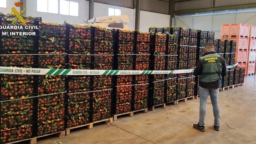 Incautadas 12 toneladas de naranja de procedencia ilícita en Nules
