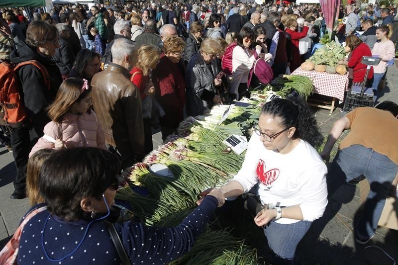 Los productos de proximidad llegan a la ciudad en "De l'horta a la plaça"