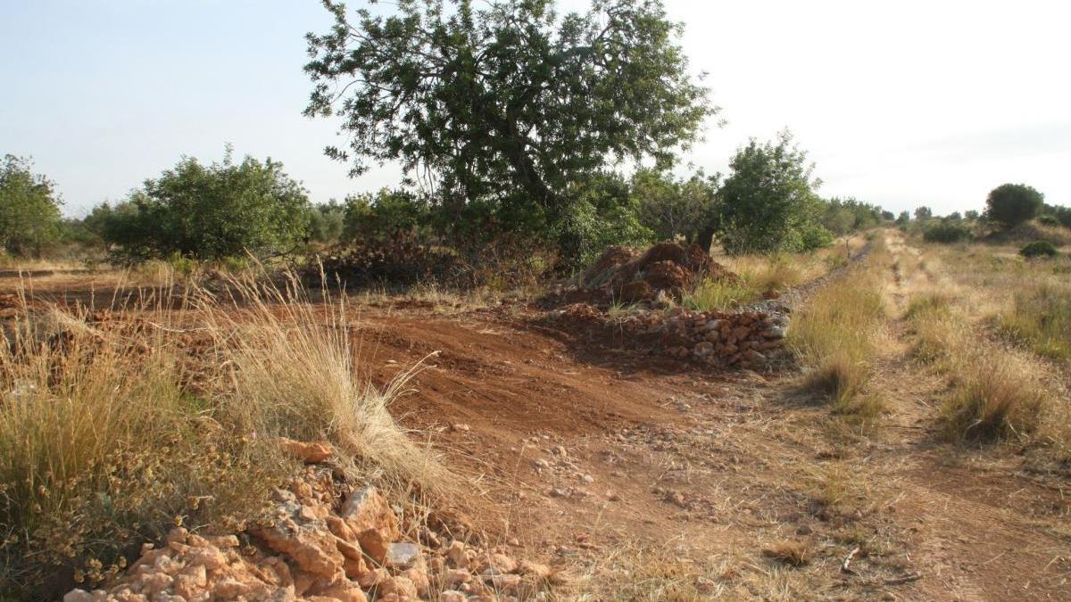 Vinaròs ofrece a Amazon los terrenos de Soterranyes