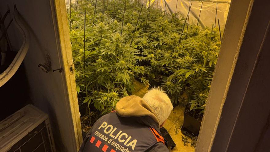 Dispositiu policial per tràfic de drogues i frau elèctric en pisos del barri de Domeny de Girona