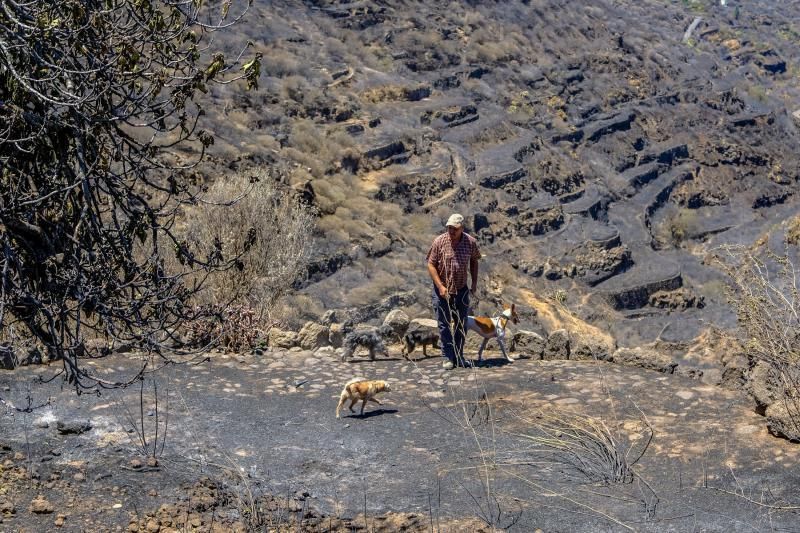 Consecuencias del incendio: De Valleseco a Artenar