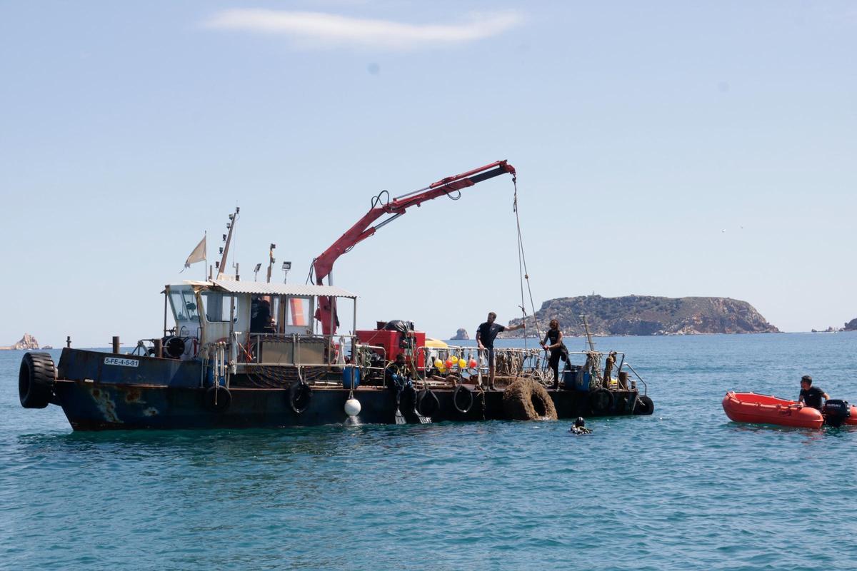 Aliança per treure residus del mar a l'Estartit i a la desembocadura del Ter