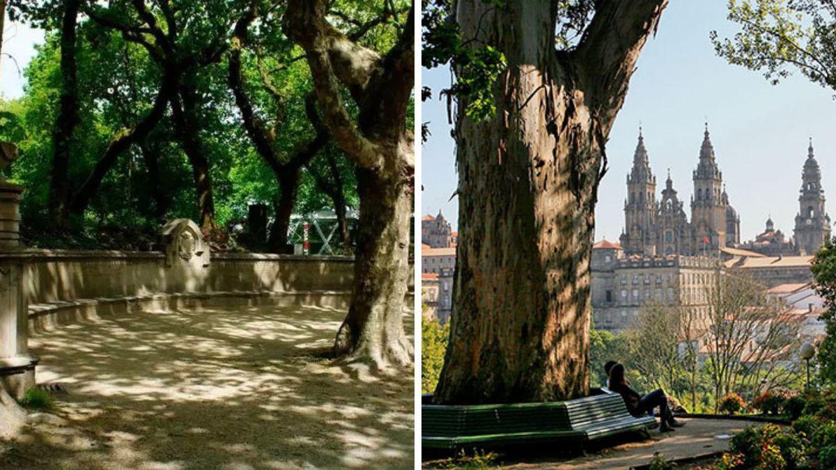 El 'Banco de los Susurros' y el 'Árbol de los Enamorados' en la Alameda de Santiago