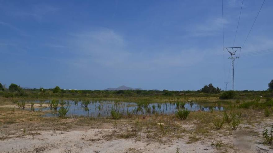 Imagen del vertido en terrenos de s´Albufera.