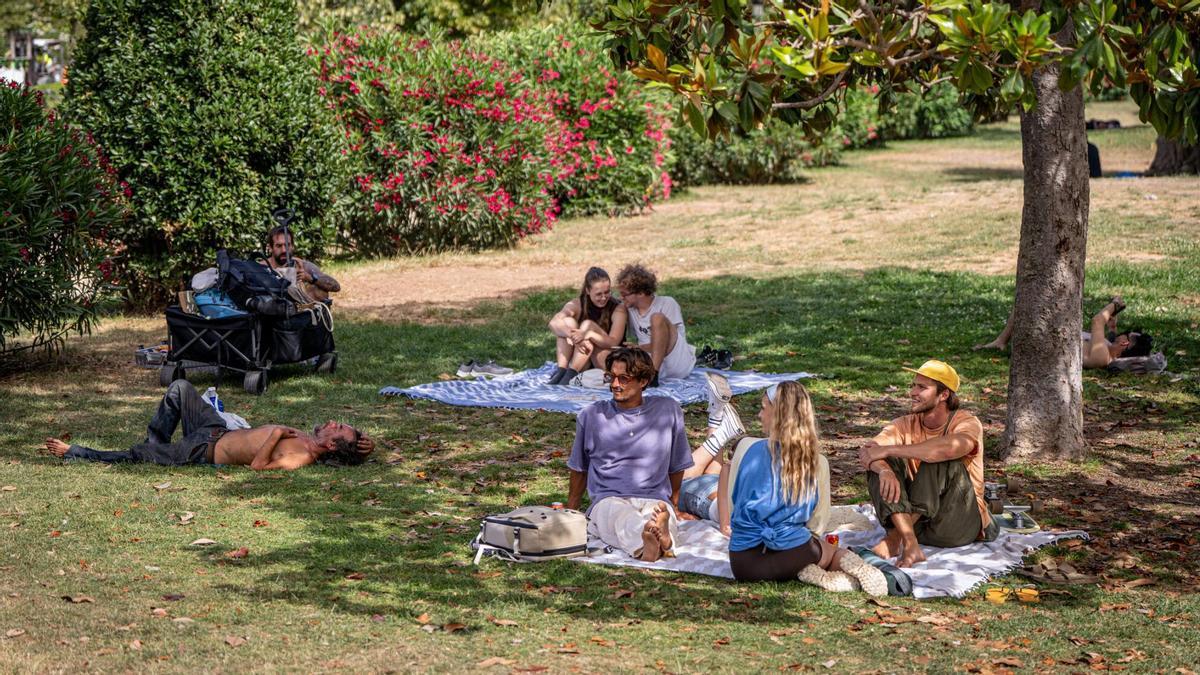 Visitants i turistes descansen a l’ombra dels arbres i de les glans del parc de la Ciutadella per protegir-se de les altes temperatures.