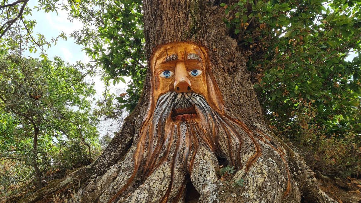 Un pueblo de Málaga tiene el único bosque encantado de Andalucía que se puede visitar en familia