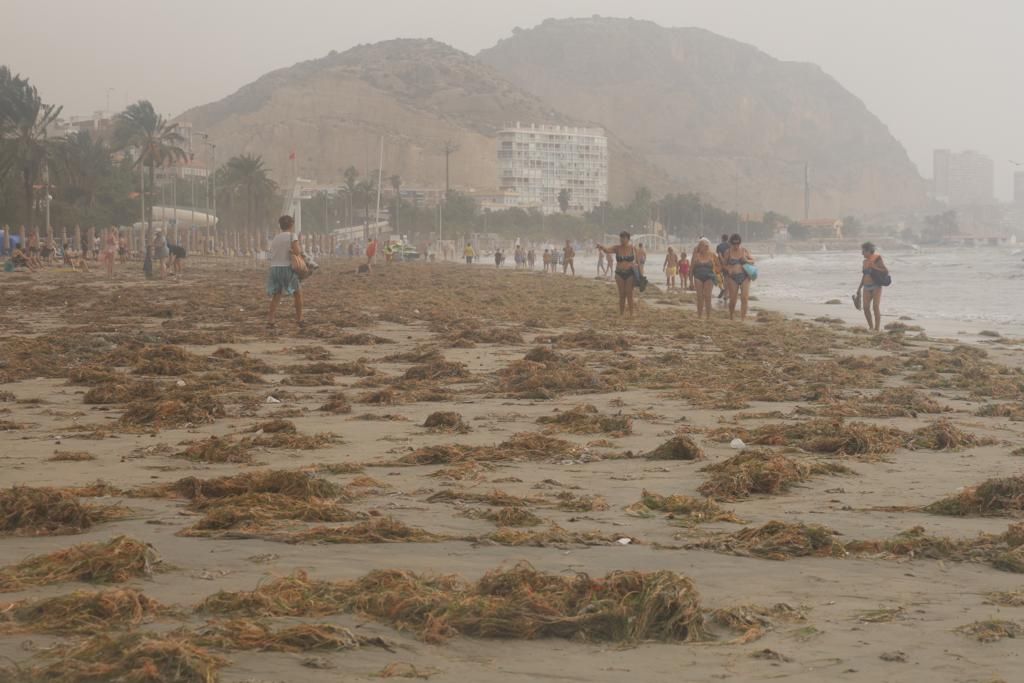 Así está la playa del Postiguet después del temporal