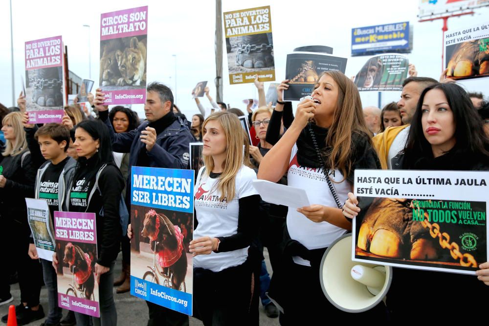 Protesta contra un circo con animales en Alfafar