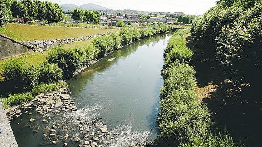 Tramo de la ría de Avilés en las inmediaciones del antiguo Hospitalillo de Ensidesa, ayer.