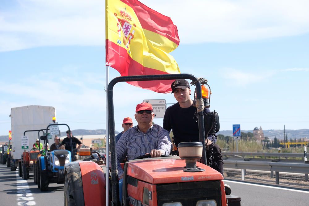 Tractorada en defensa del campo alicantino