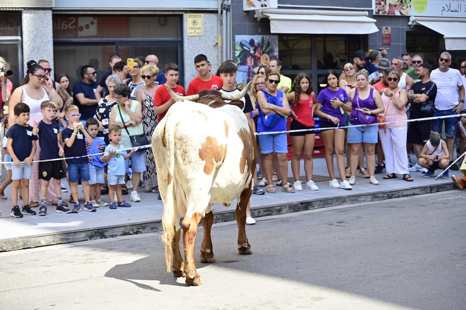 Una 'cagada' vale 1.000 euros