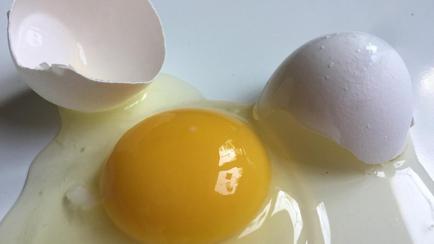 ¿Qué pasa en tu cuerpo si tomas claras de huevo todos los días?