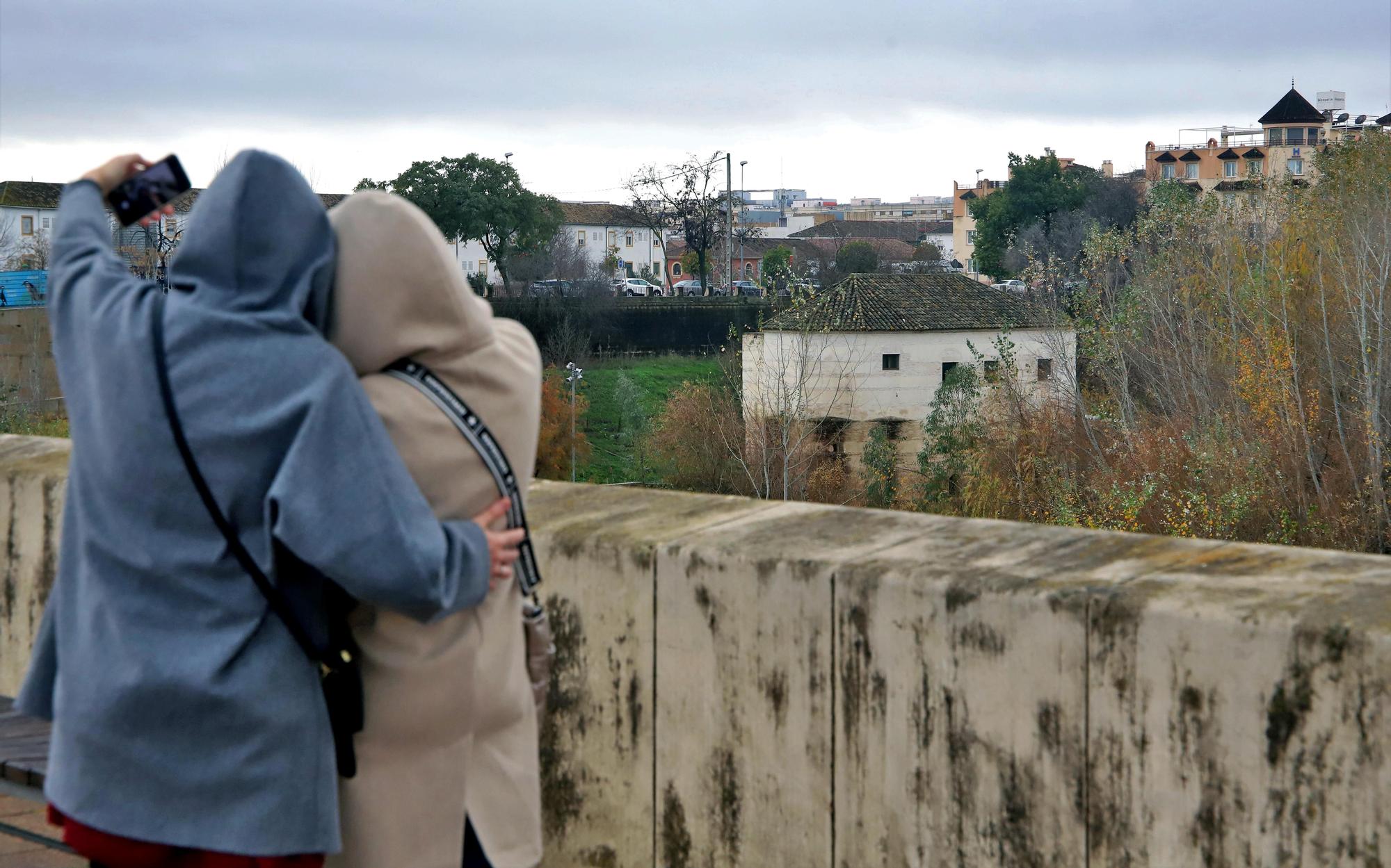 La vegetación no deja ver el río Guadalquivir