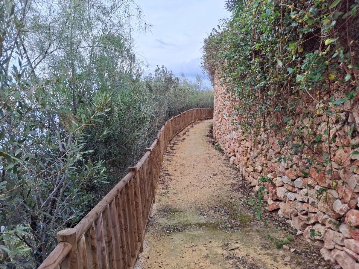 El tupido seto de acebuches impide disfrutar plenamente de la vista