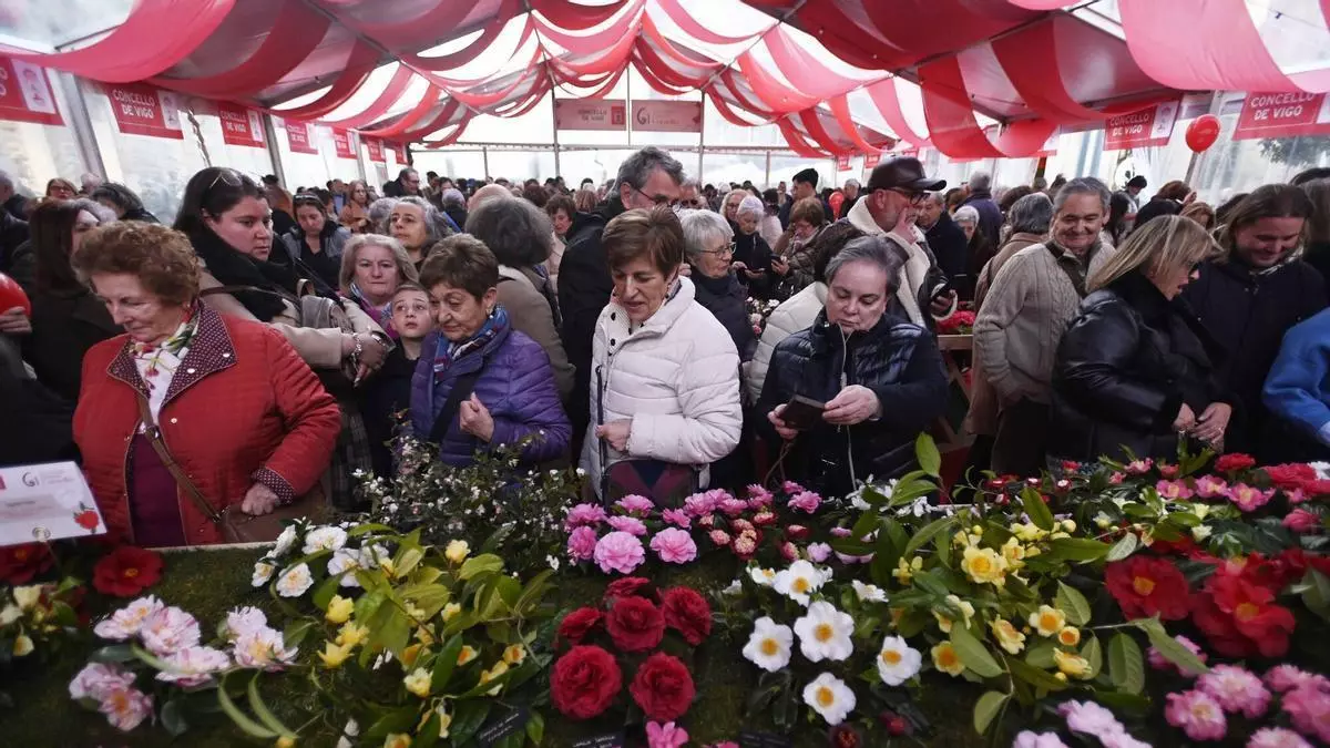 Unas 150 variedades de camelias atraen a multitud de personas a Porta do Sol