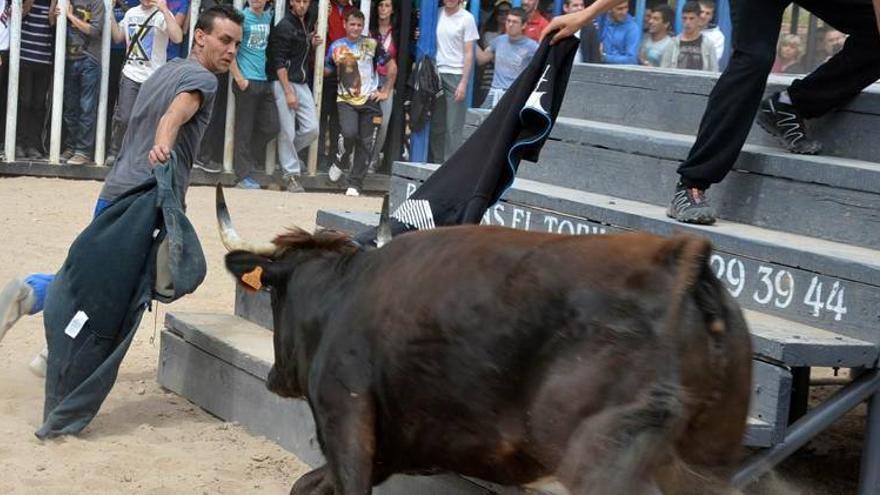 La Vall arranca con vaquillas sus fiestas de Sant Vicent