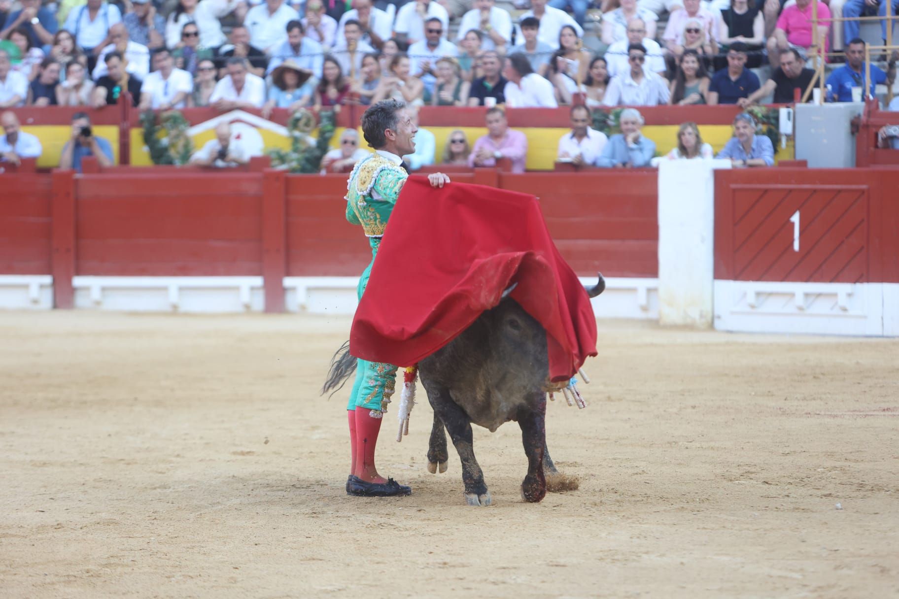 Así ha sido la tarde de Toros de Victorino Martín para Manuel Escribano, en solitario, en Alicante