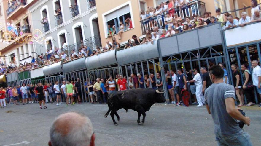 Un momento de los festejos de ayer en Pedreguer