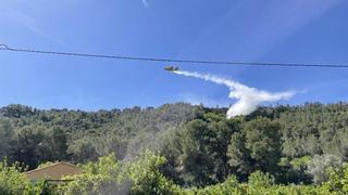 Logran estabilizar el incendio de Alzira antes de que las llamas lleguen al parque natural de La Murta