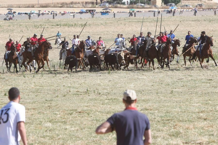 Fiestas en Zamora: Segudos espantes de Fuentesaúco