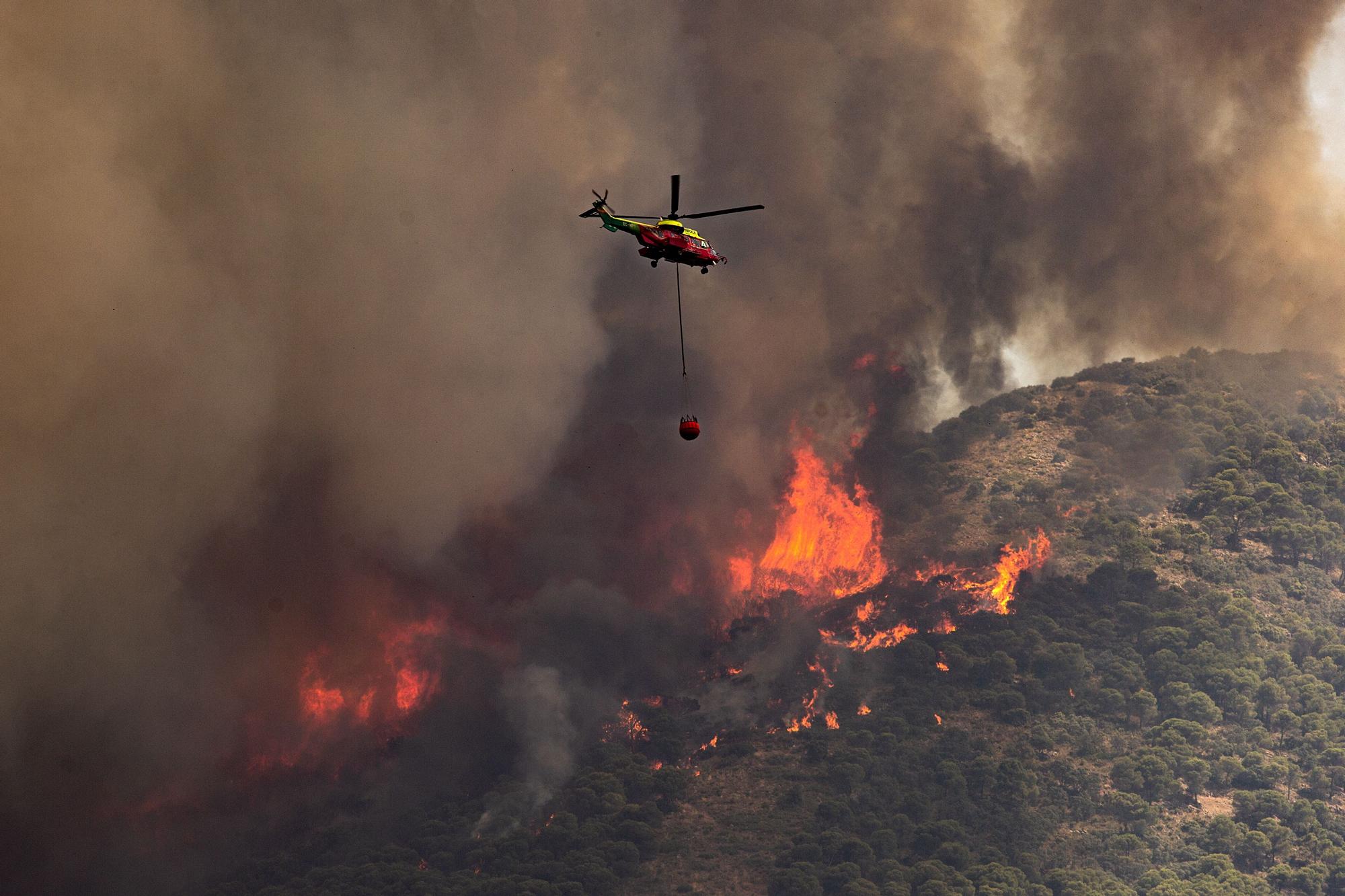 Declarado un incendio en la Sierra de Mijas