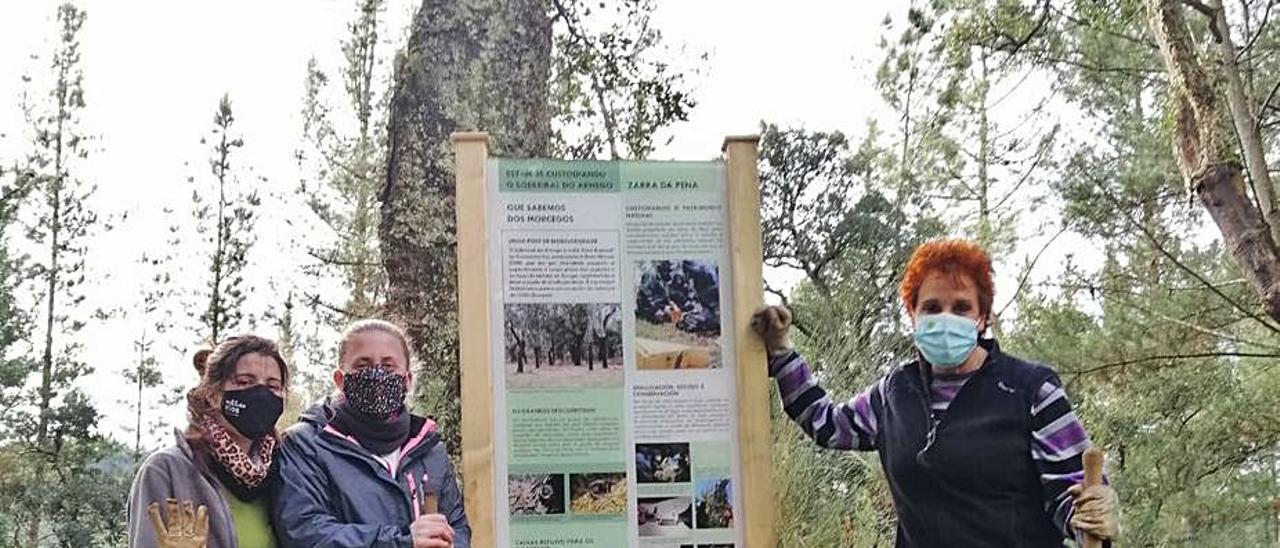 Paneles y muros recuperados en el Sobreiral do Arnego