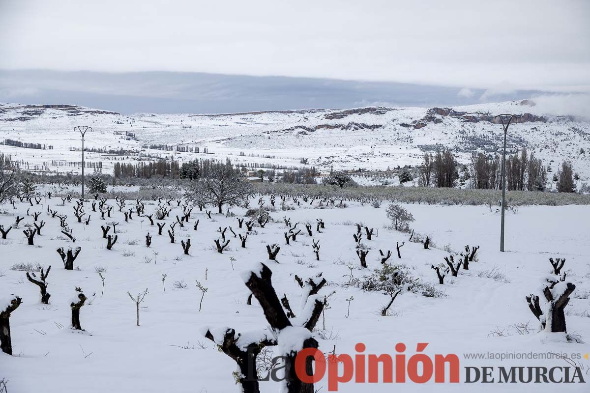 La comarca del Noroeste ofrece una estampa invernal