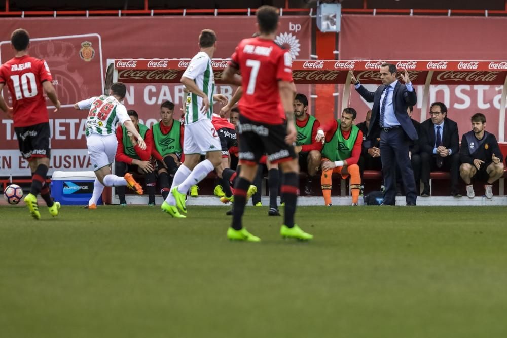 Mallorca 1 - Córdoba 1