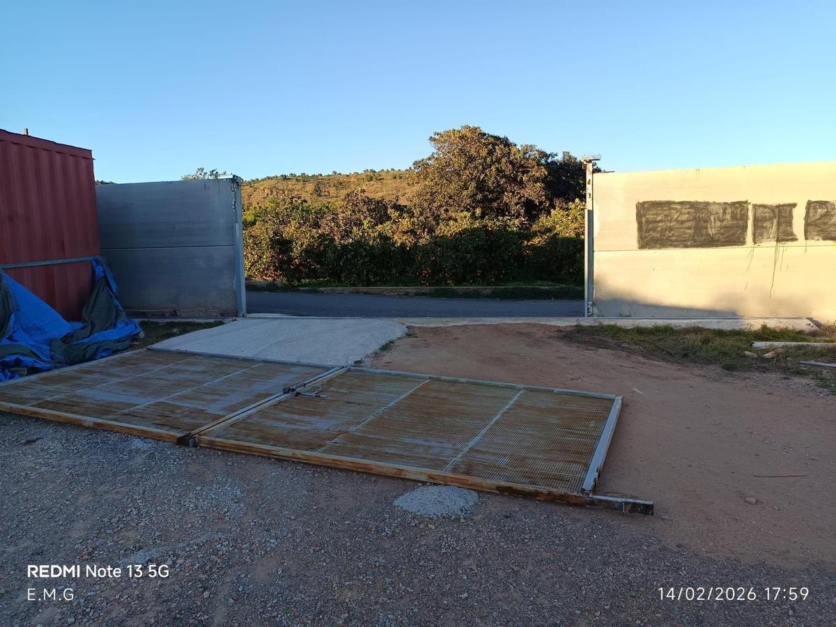 WhatsApp Image 2026-02-14 at 19.19.33