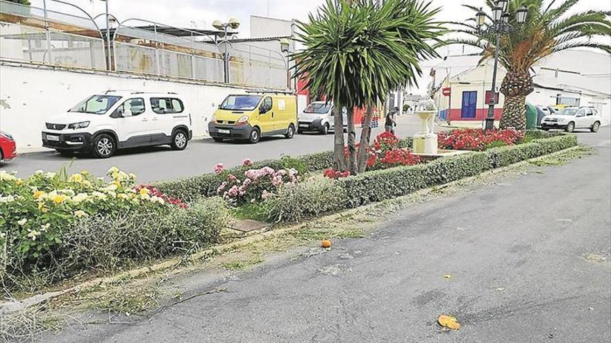 Un vecino de pedro abad arregla, de forma altruista, varios jardines públicos