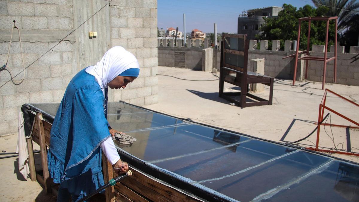 Archivo - Placa solar en la Franja de Gaza (archivo)