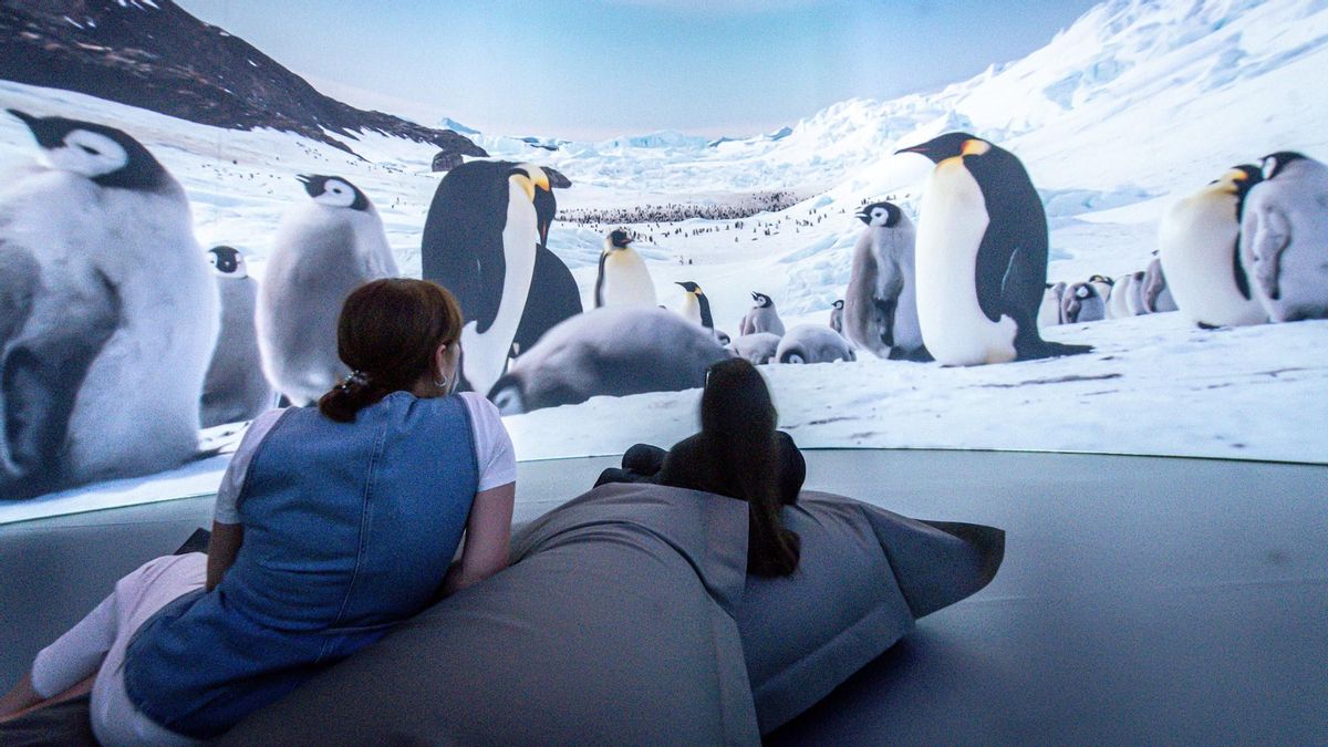 Llega Antarctica Experience,  exposición inmersiva en la Cúpula Arenas