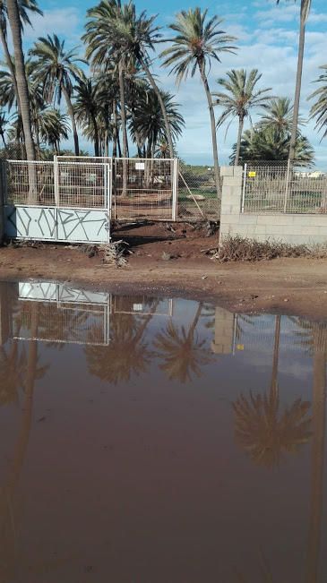 Salvemos Lo Ferrís asegura que le muro en la propiedad privada multiplicó los efectos de las precipitaciones al acumular el agua