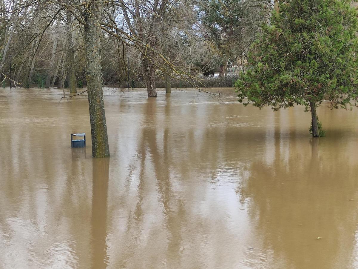 GALERÍA / El río Órbigo desbordado en Benavente, en imágenes GALERÍA / El río Órbigo desbordado en Benavente, en imágenes