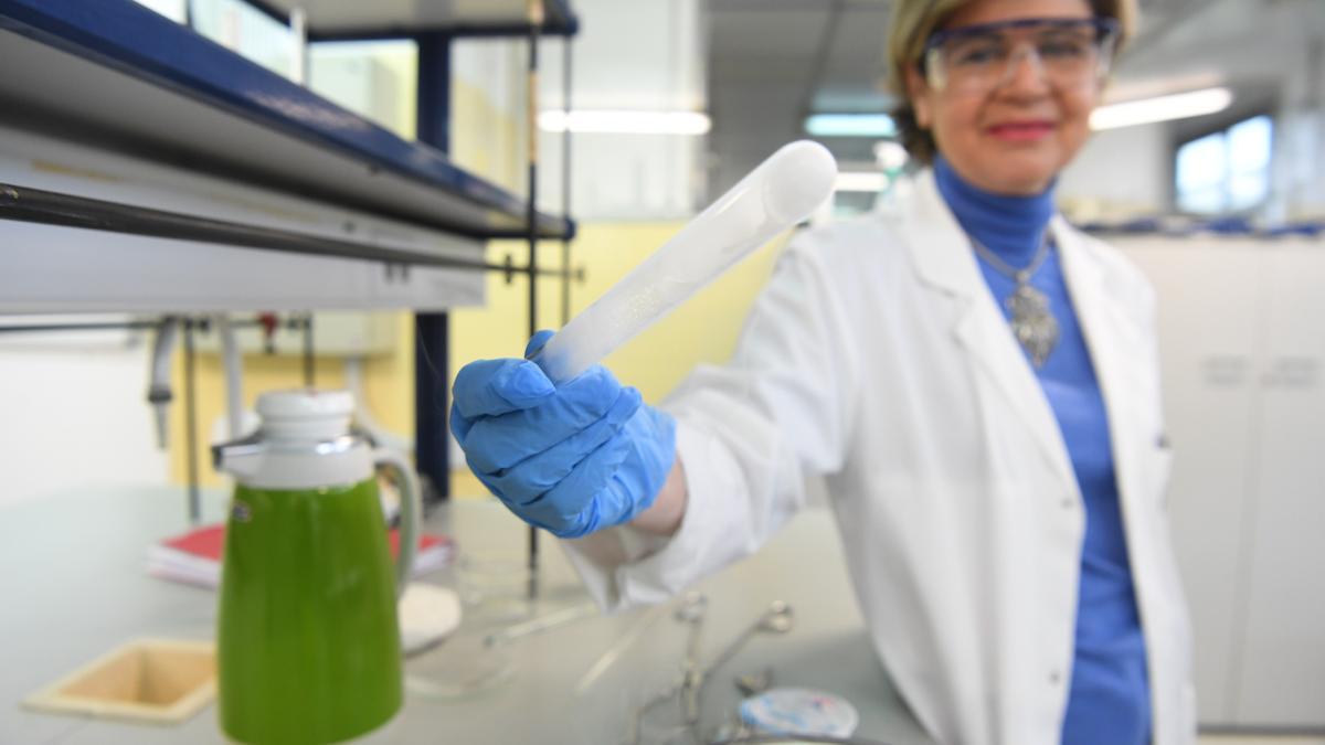 María Teresa Rodríguez Blas, catedrática de Ciencia.