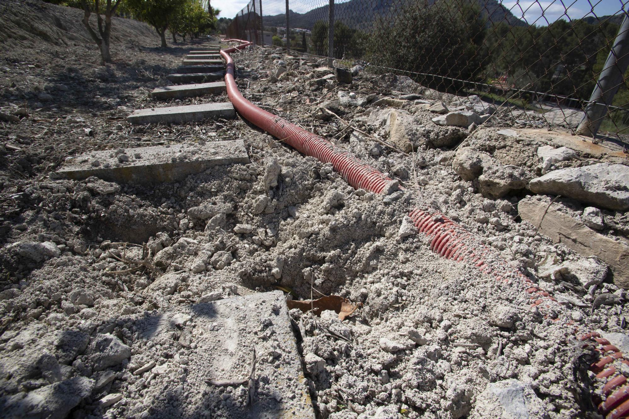 Los jabalíes destrozan parcelas de la urbanización Bixquert