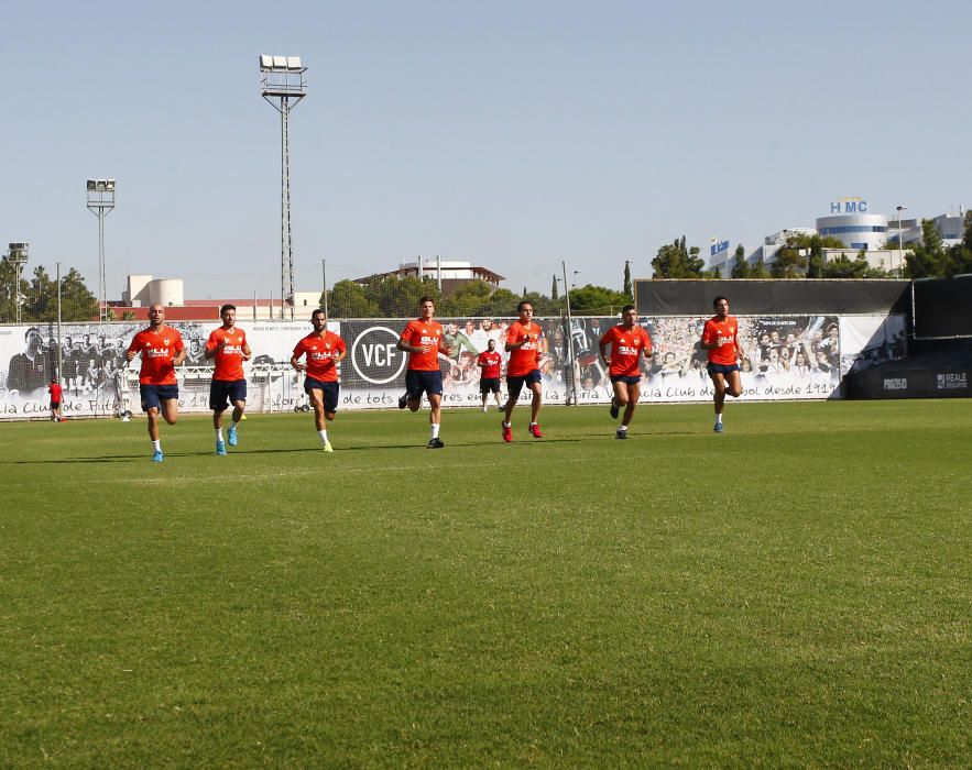 Primera toma de contacto con el césped