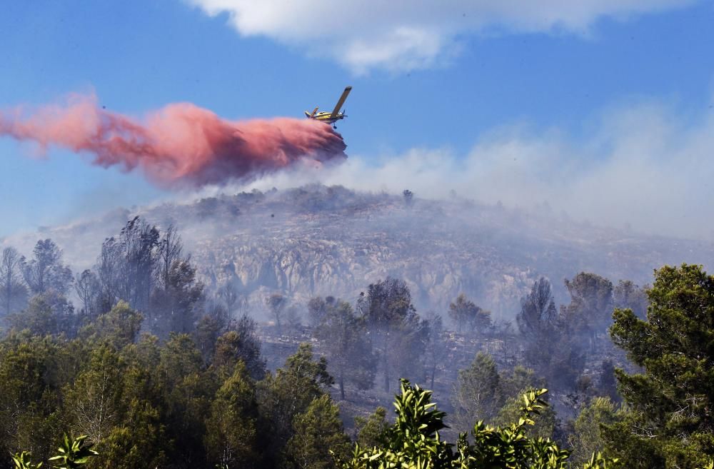 Incendio forestal en Carcaixent