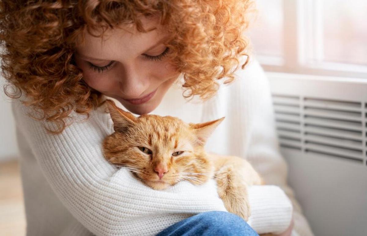Els gats ens ofereixen estabilitat emocional
