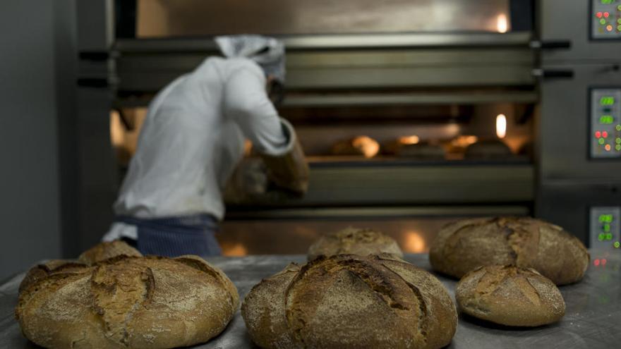 Una panadería de Gran Canaria, entre las mejores de España