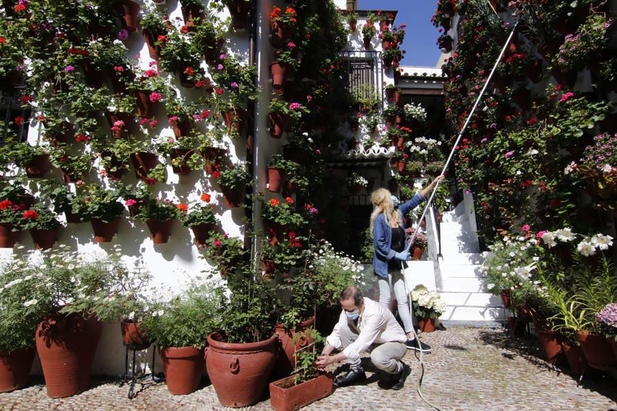 Los Patios de Córdoba (2)