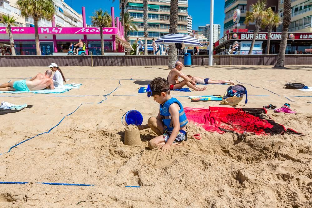 Quejas de usuarios en la apertura de las playas parceladas en Benidorm