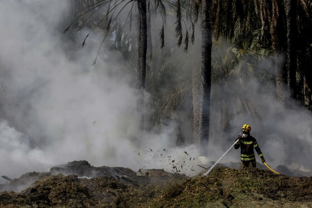 Fuego en el Palmeral de Elche