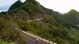 La caída de un árbol en la carretera de El Bailadero corta la vía en ambos sentidos